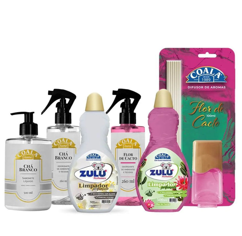 Kit Cacto Juliette